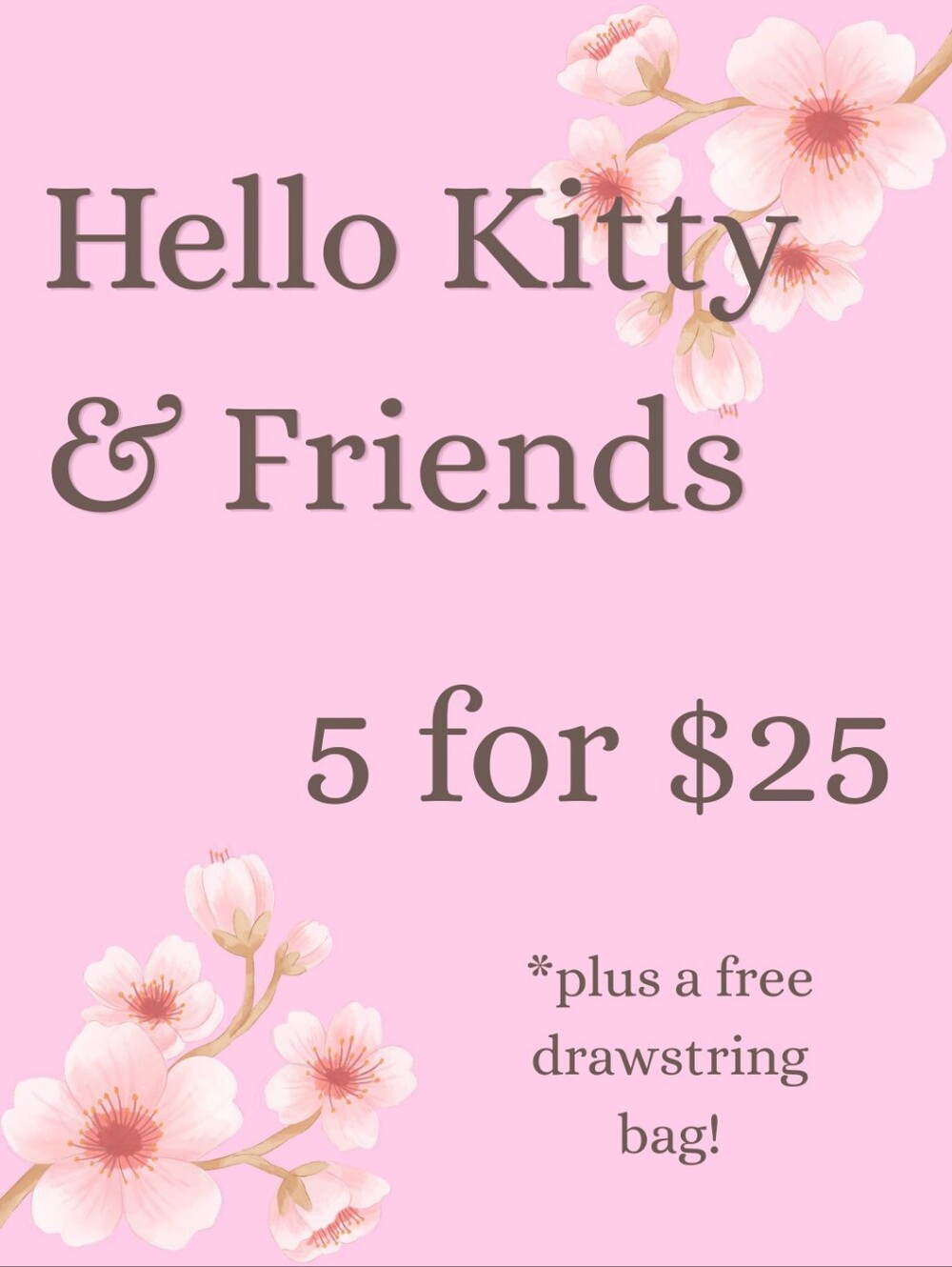 5 For $25 Sanrio Mystery Bag